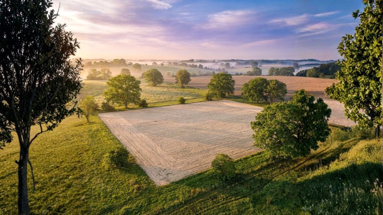 Top Mistakes to Avoid When Buying Barndominium Plans