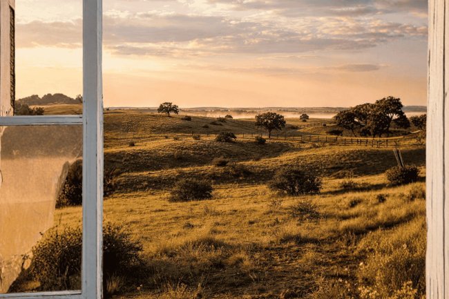 40x60 Barndominium in Texas: The Complete Guide for 2026