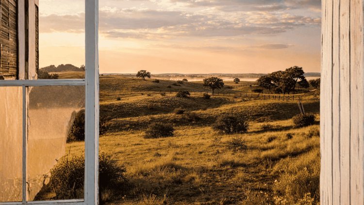 40x60 Barndominium in Texas: The Complete Guide for 2026
