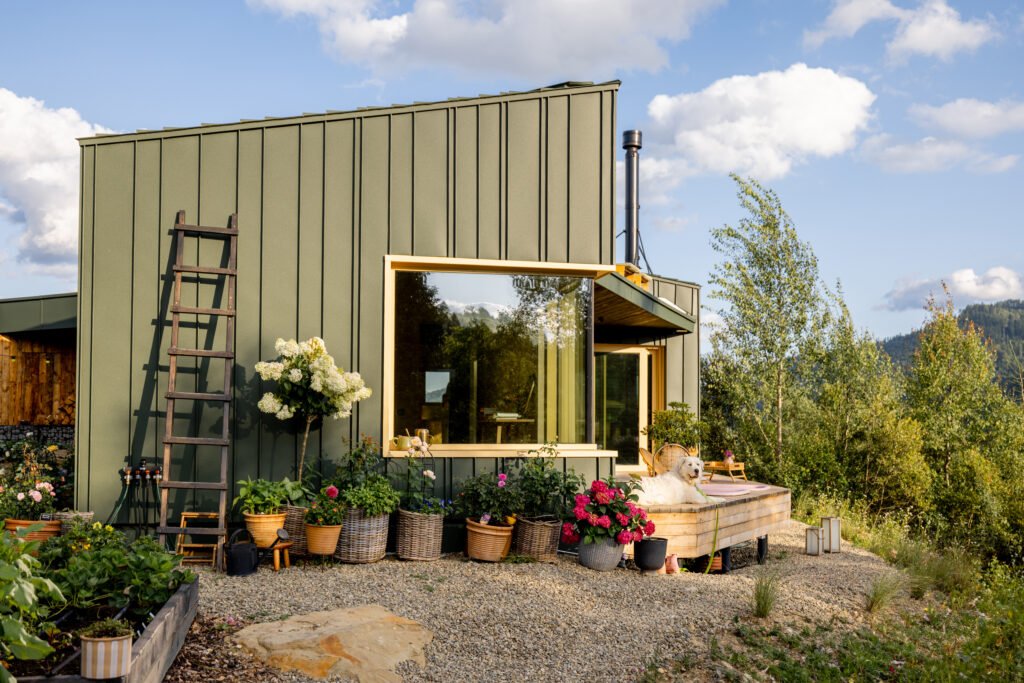 A modern green house with a large window and decorative plants in woven baskets. A dog lies on a raised wooden platform surrounded by potted flowers